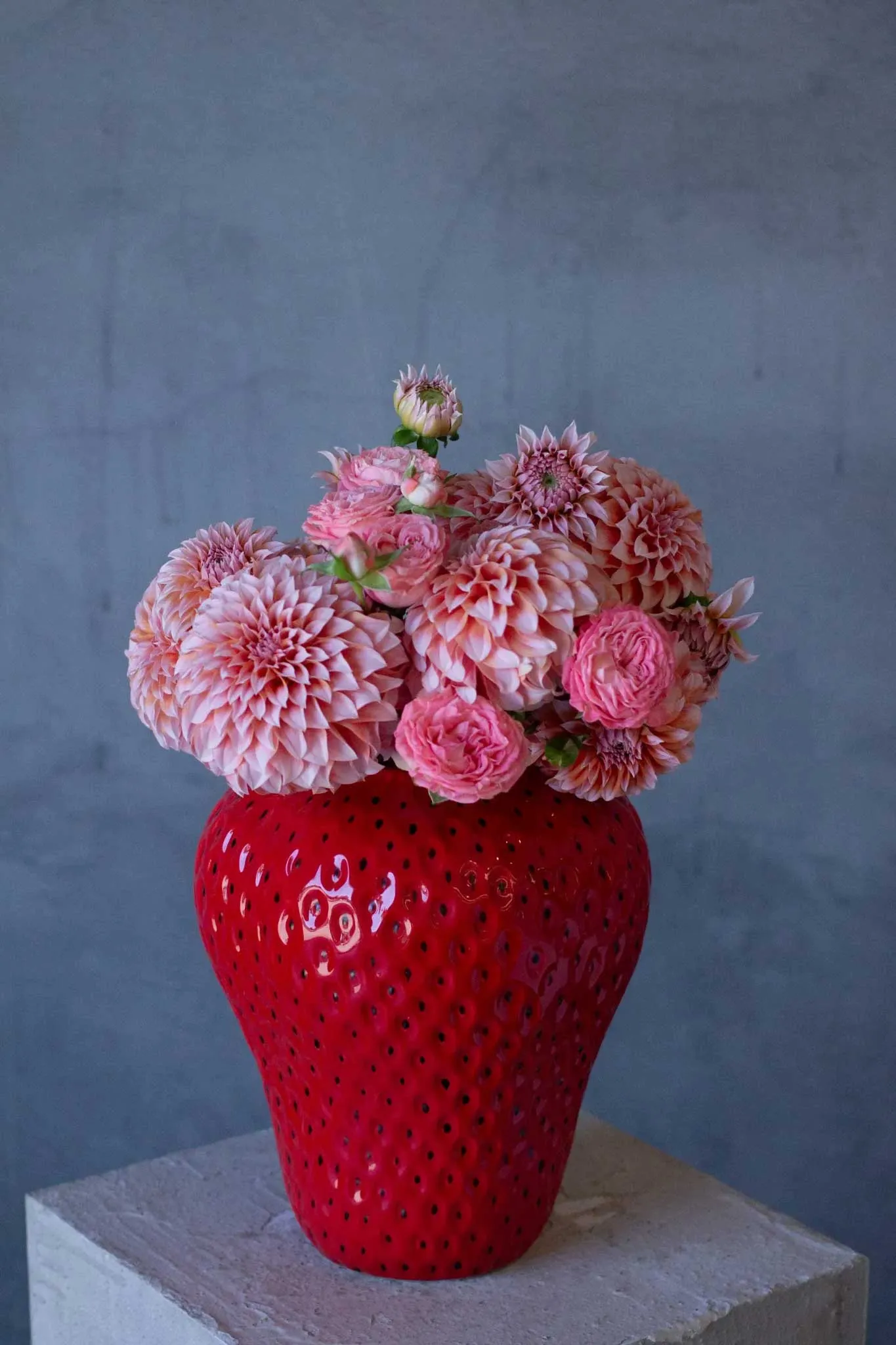 ダリアの季節がやってきました