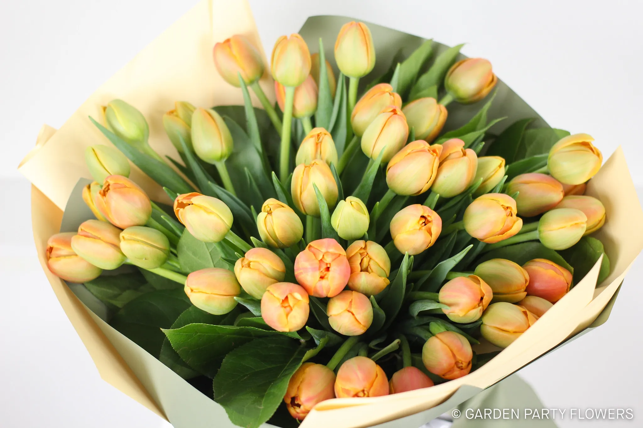 ホームページをオープンしました!